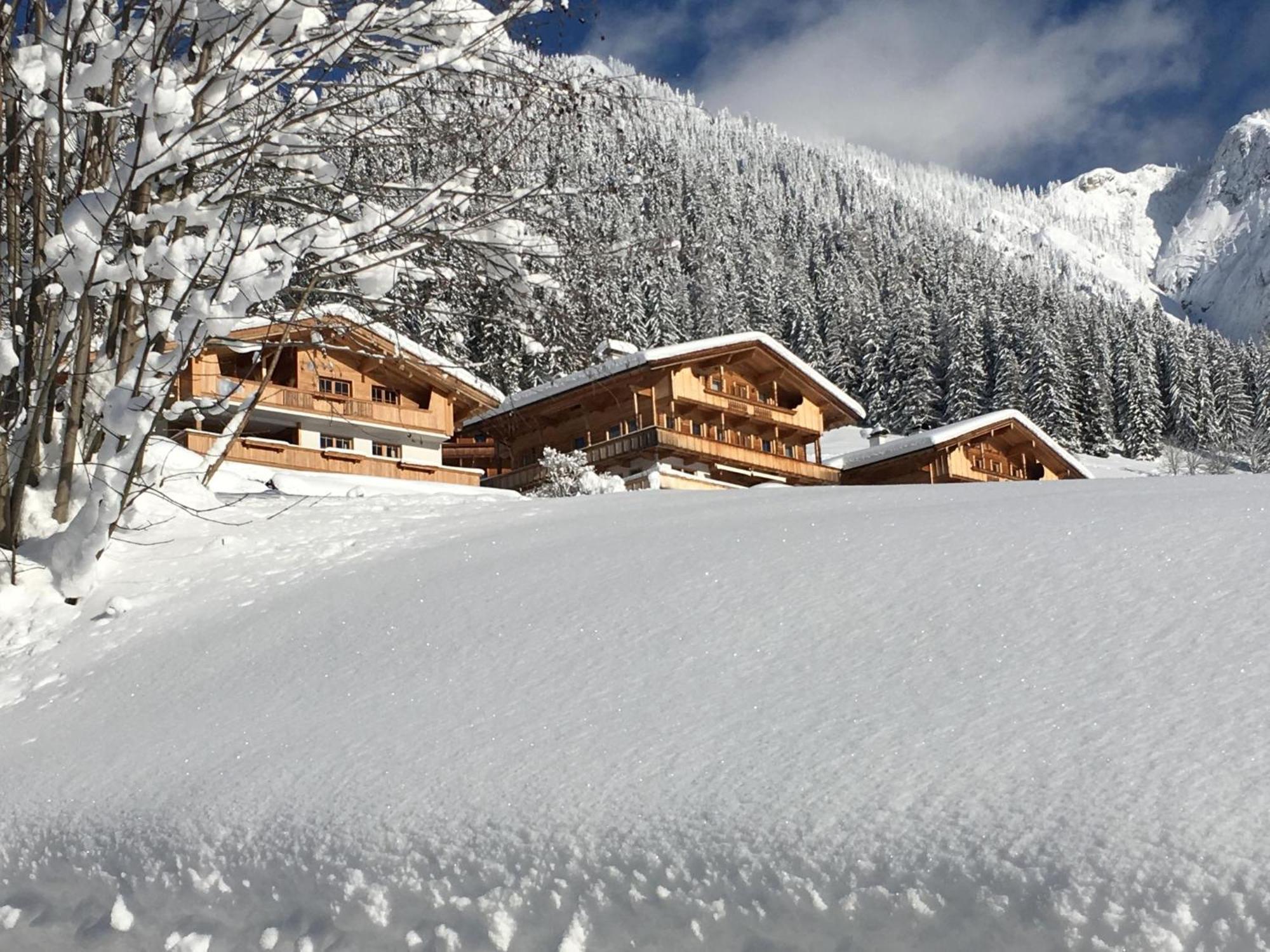 Haus Fernwald Top Jill ألباخ المظهر الخارجي الصورة