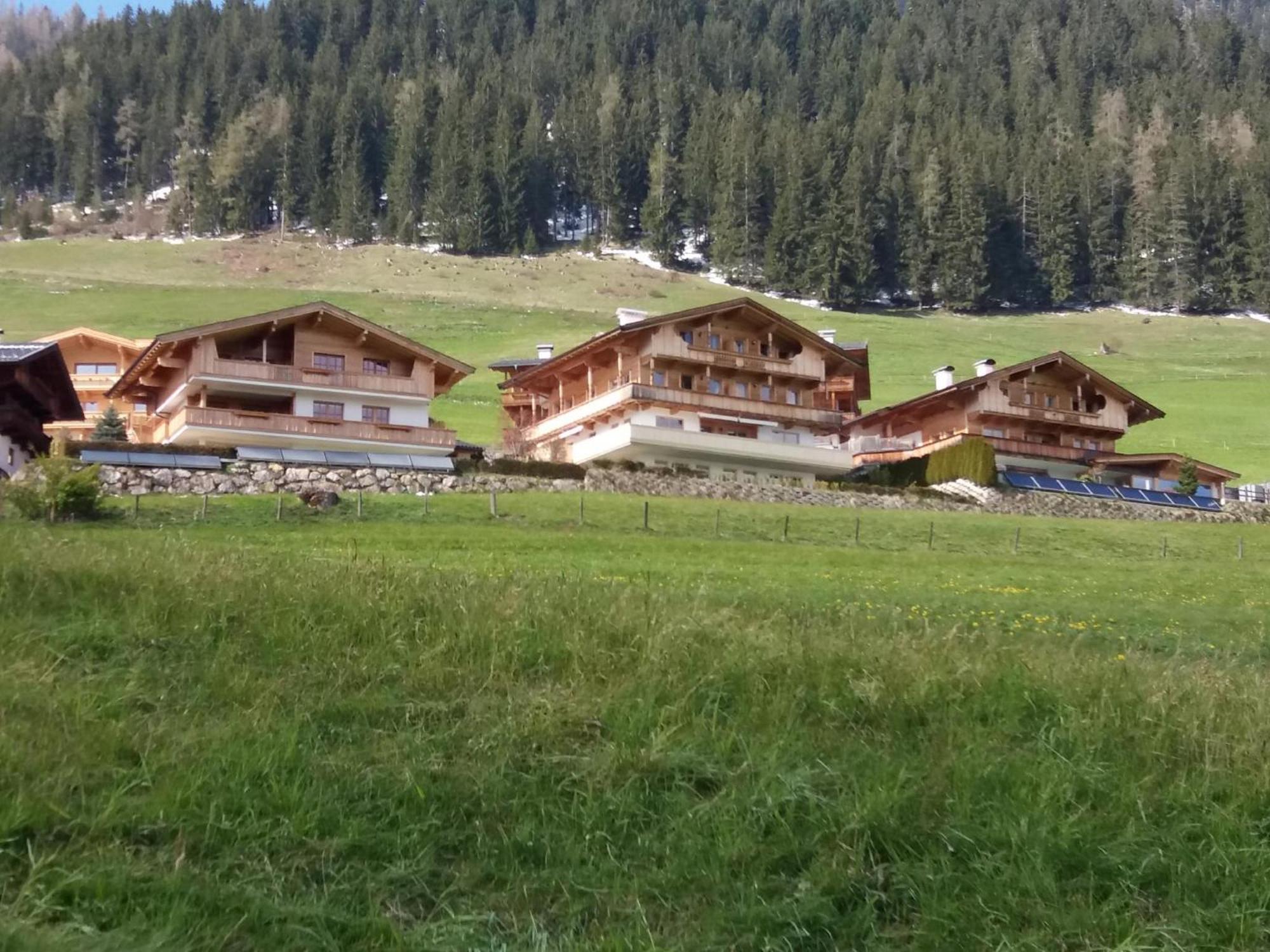 Haus Fernwald Top Jill ألباخ المظهر الخارجي الصورة